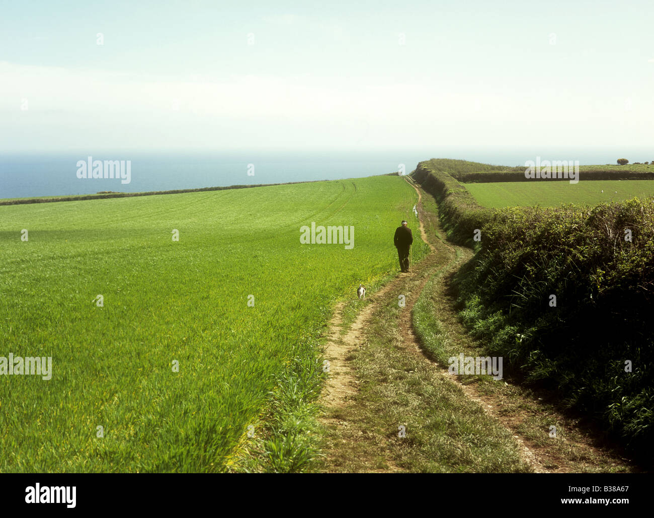 Un caractère local, promener le chien à peu de Dartmouth dans le Devon dans South Hams au Royaume-Uni Banque D'Images