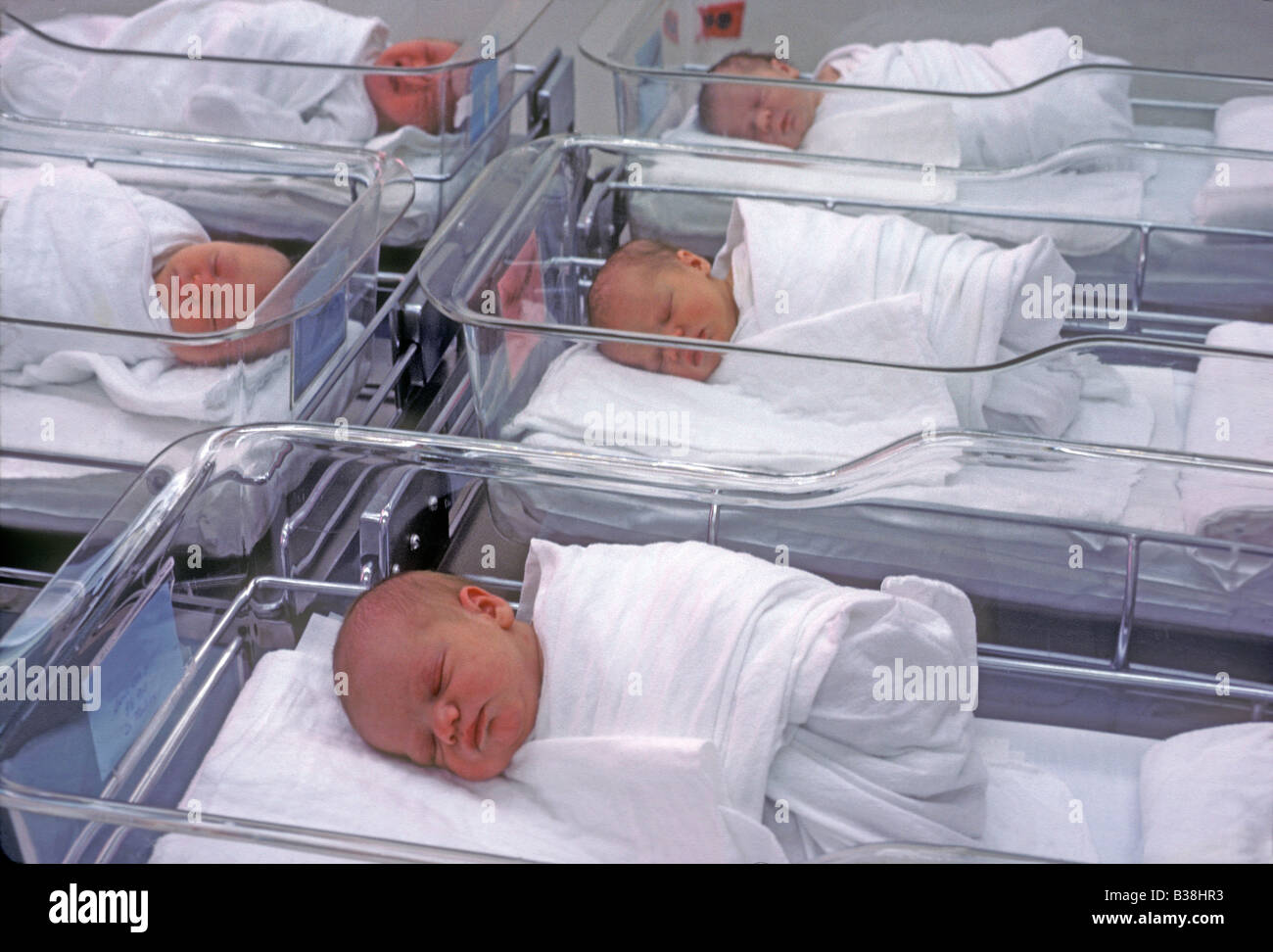 Bébés dans hospital nursery Banque D'Images