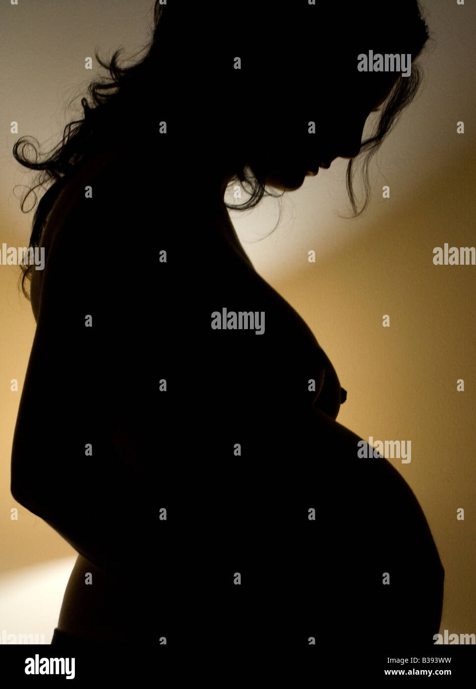 Une jeune femme enceinte en contre-jour Banque D'Images