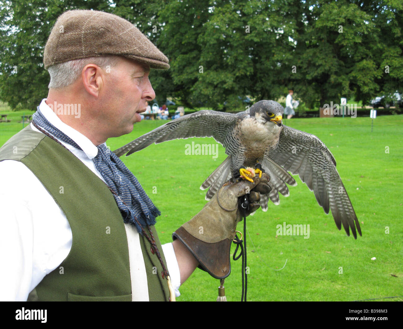 Fauconnerie dans les jardins. Audley End House, Audley End, Saffron Walden, Essex, Angleterre, Grande-Bretagne, Royaume-Uni, UK, Europe Banque D'Images