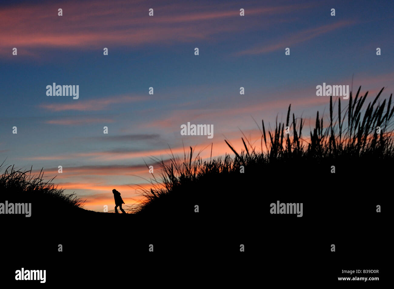 Mädchen in den Dünen bei Sonnenuntergang jeune fille de dunes dans le coucher du soleil Banque D'Images