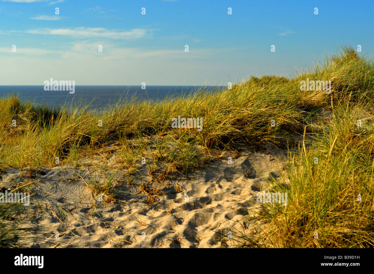 Dünen am Strand von Lynvig Algérie dunes à la plage en Lynvig danemark Banque D'Images