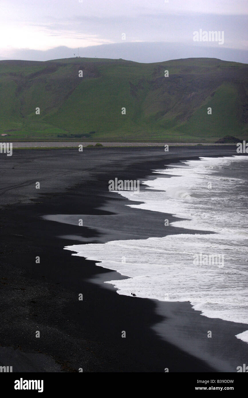 Plage de sable noir près de Vik, l'Islande. Banque D'Images