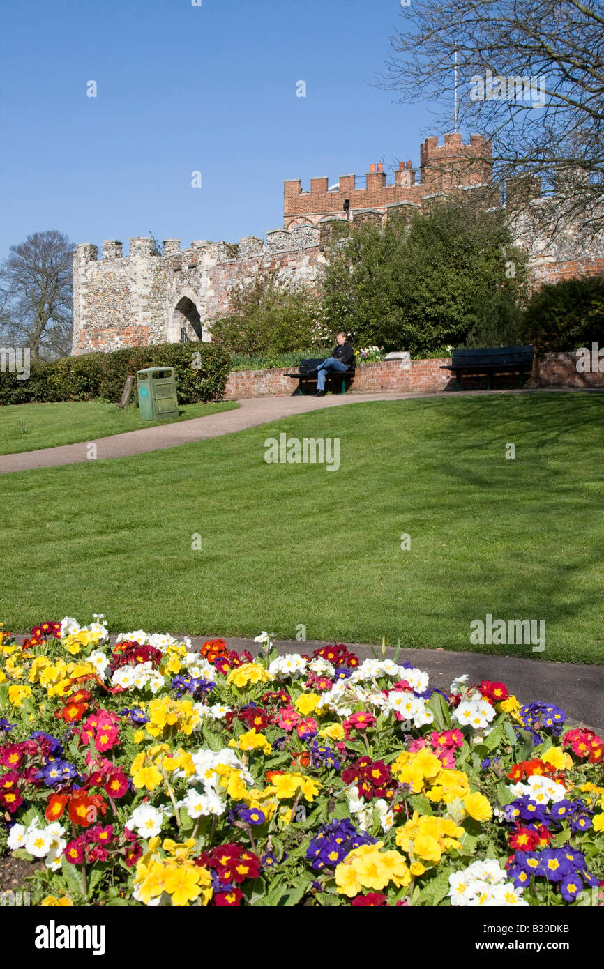 Château d'Hertford, fleurs d'été centre ville ville du comté du Hertfordshire, England uk go Banque D'Images