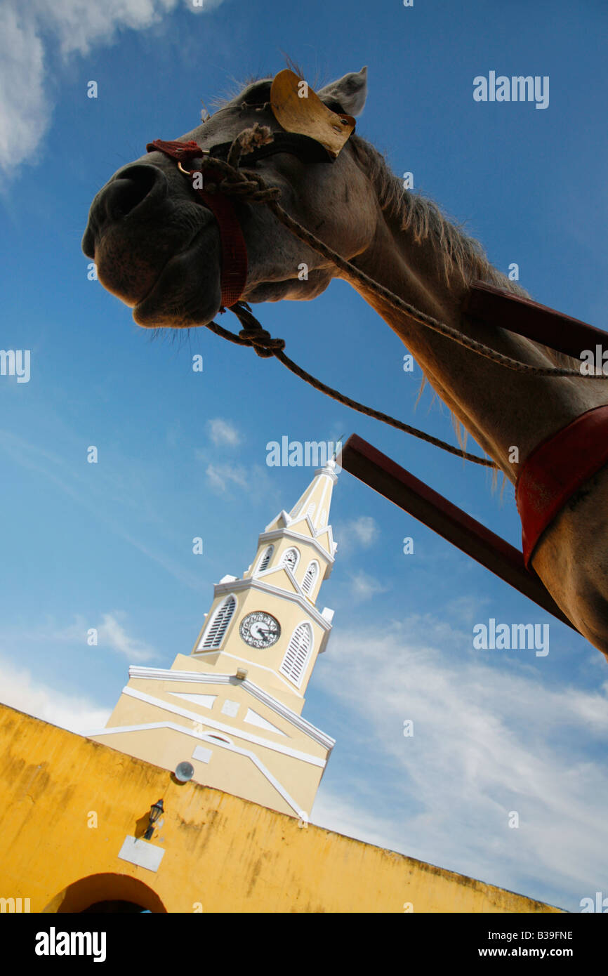 Clocktower Cartagena avec une tête de cheval silhouetté contre le ciel bleu Banque D'Images