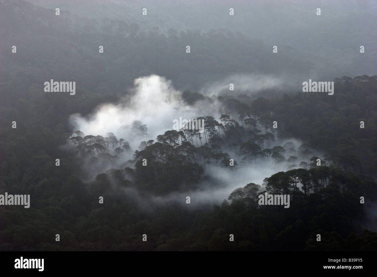 La fumée brouillard Vue aérienne des forêts des montagnes Banque D'Images