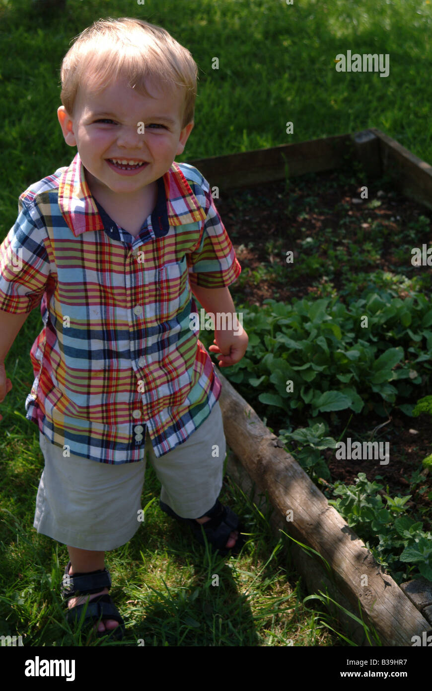 Petit garçon debout dans un jardin à côté d'une parcelle de terrain végétale Banque D'Images
