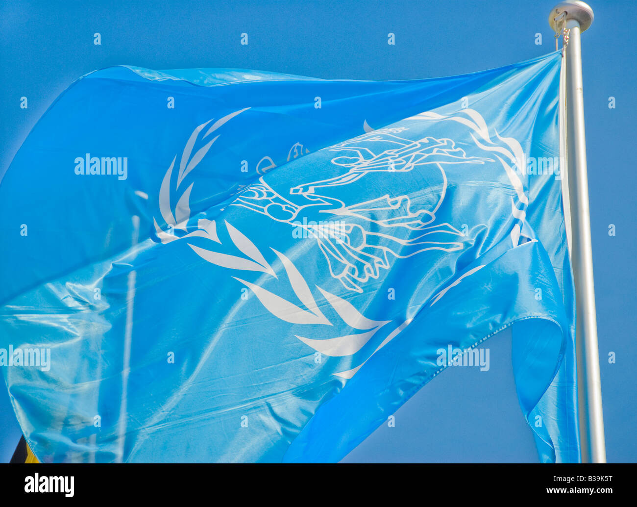Le drapeau de l’ONU Banque D'Images
