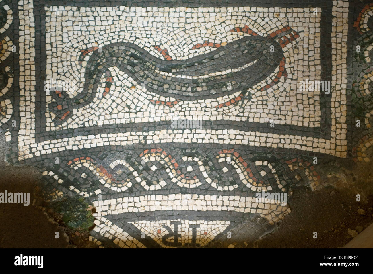 Angleterre Sussex Bignor Roman Villa Dolphin & signature mosaic Banque D'Images
