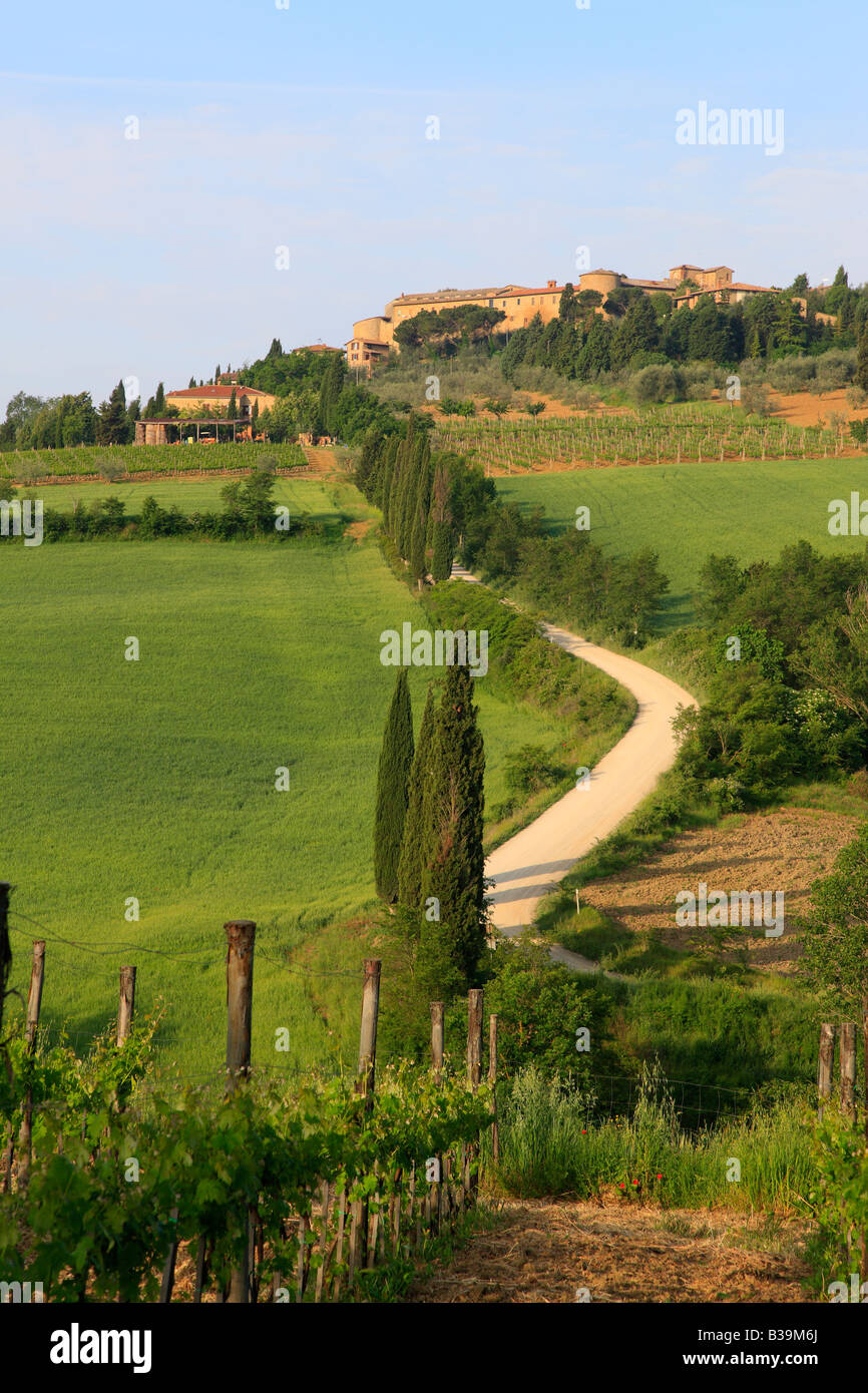 Vue vers la ville de Pienza in early morning light, Toscane, Italie Banque D'Images