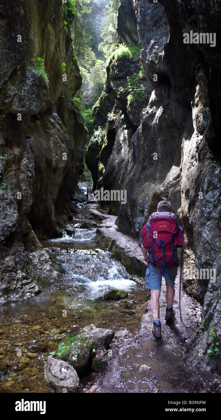Dolne diery gorge, dans les montagnes Mala Fatra, en Slovaquie. Banque D'Images