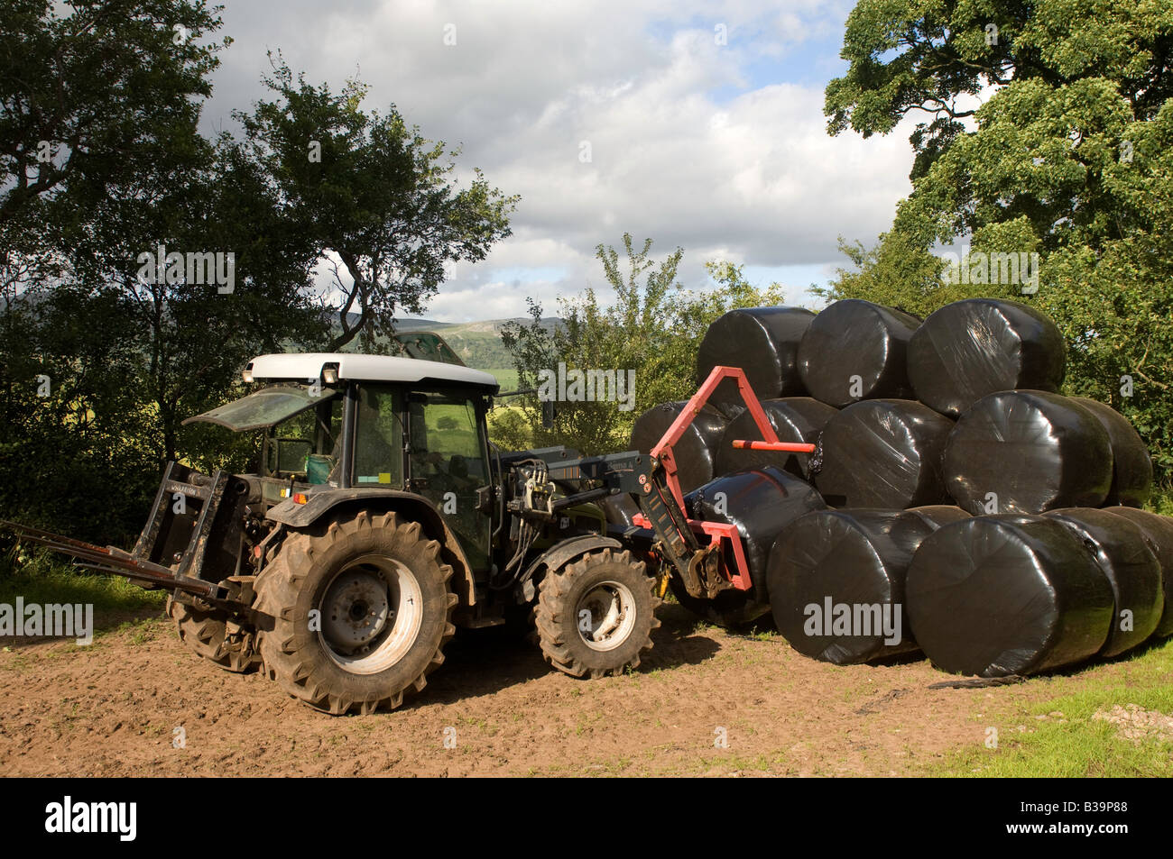 Avec chargeur tracteur Hurlimann empiler jusqu'big bales de l'ensilage enveloppés dans Cumbria en plastique noir Banque D'Images