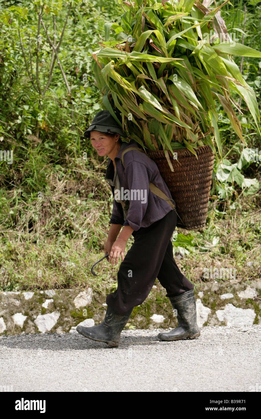 Nong Het district, province de Xieng Khouang, au Laos. Une agricultrice promenades accueil réalisation cultures récoltées. Banque D'Images