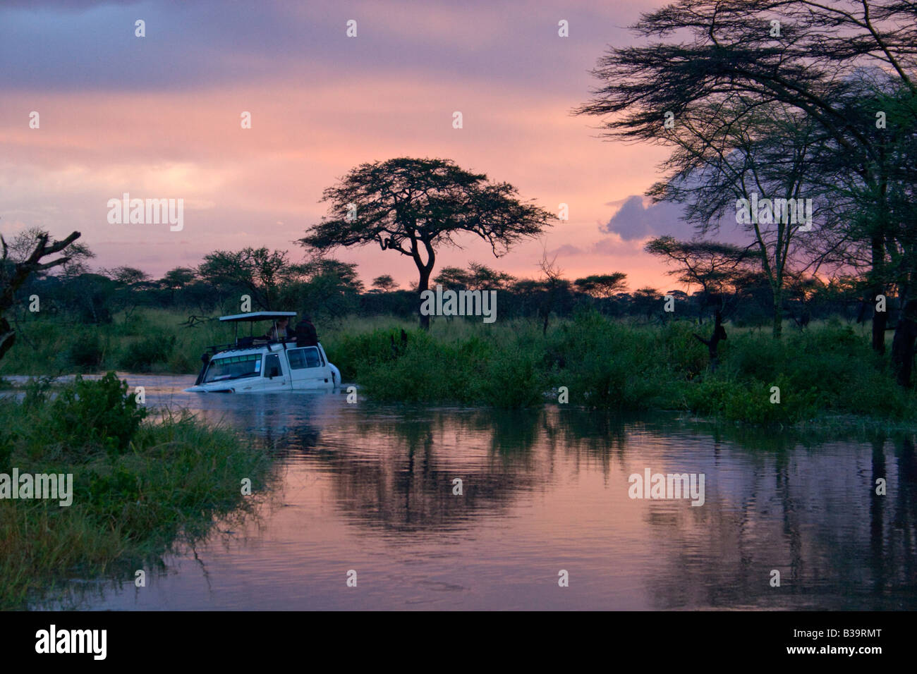 Une crue éclair de pluies de printemps nécessite l'utilisation de Land Rover sur les plaines du Serengeti en Tanzanie Banque D'Images