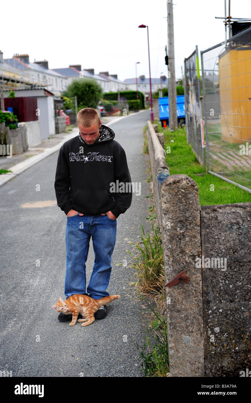 Un jeune homme dans un hooded top hoodie se dresse sur un domaine en conseil Redruth, Cornwall, avec un chaton à ses pieds Banque D'Images