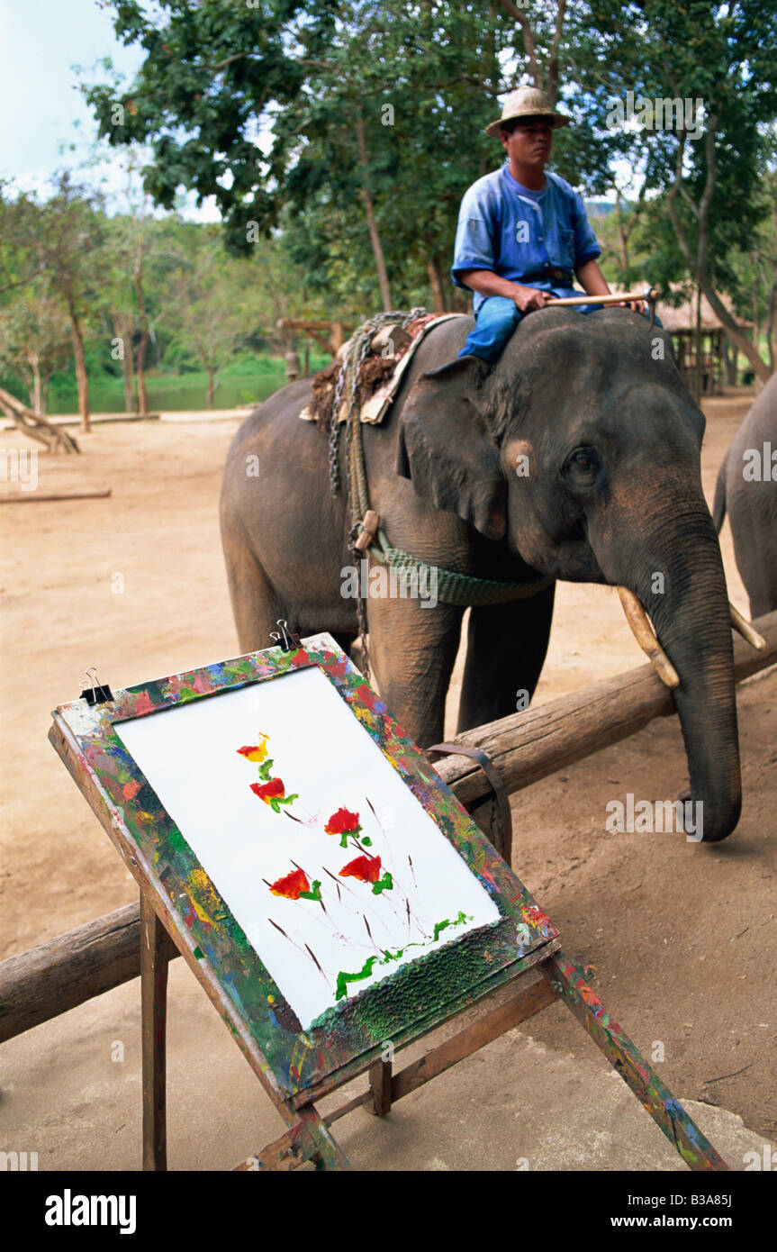 La Thaïlande, Chiang Mai, Mae Sa Elephant Camp, Art éléphant Banque D'Images