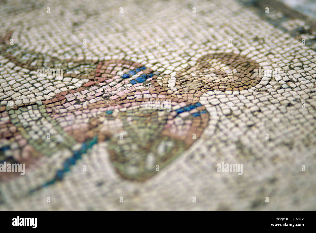 Mosaïque de cour de Villa romaine, Carthage, Tunisie Banque D'Images