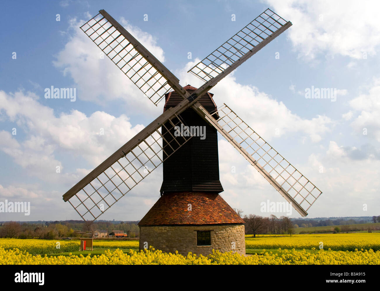 Une vue de face d'un moulin de voiles dans un champ de colza sur un jour d'été ensoleillé Banque D'Images