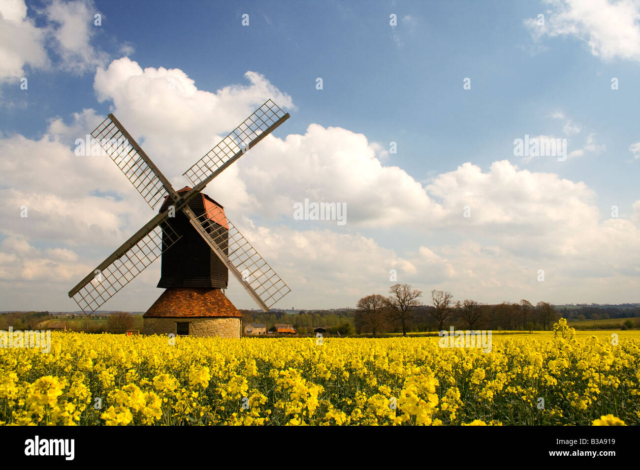 Un portrait d'un moulin de voiles dans un champ de colza sur un jour d'été ensoleillé Banque D'Images