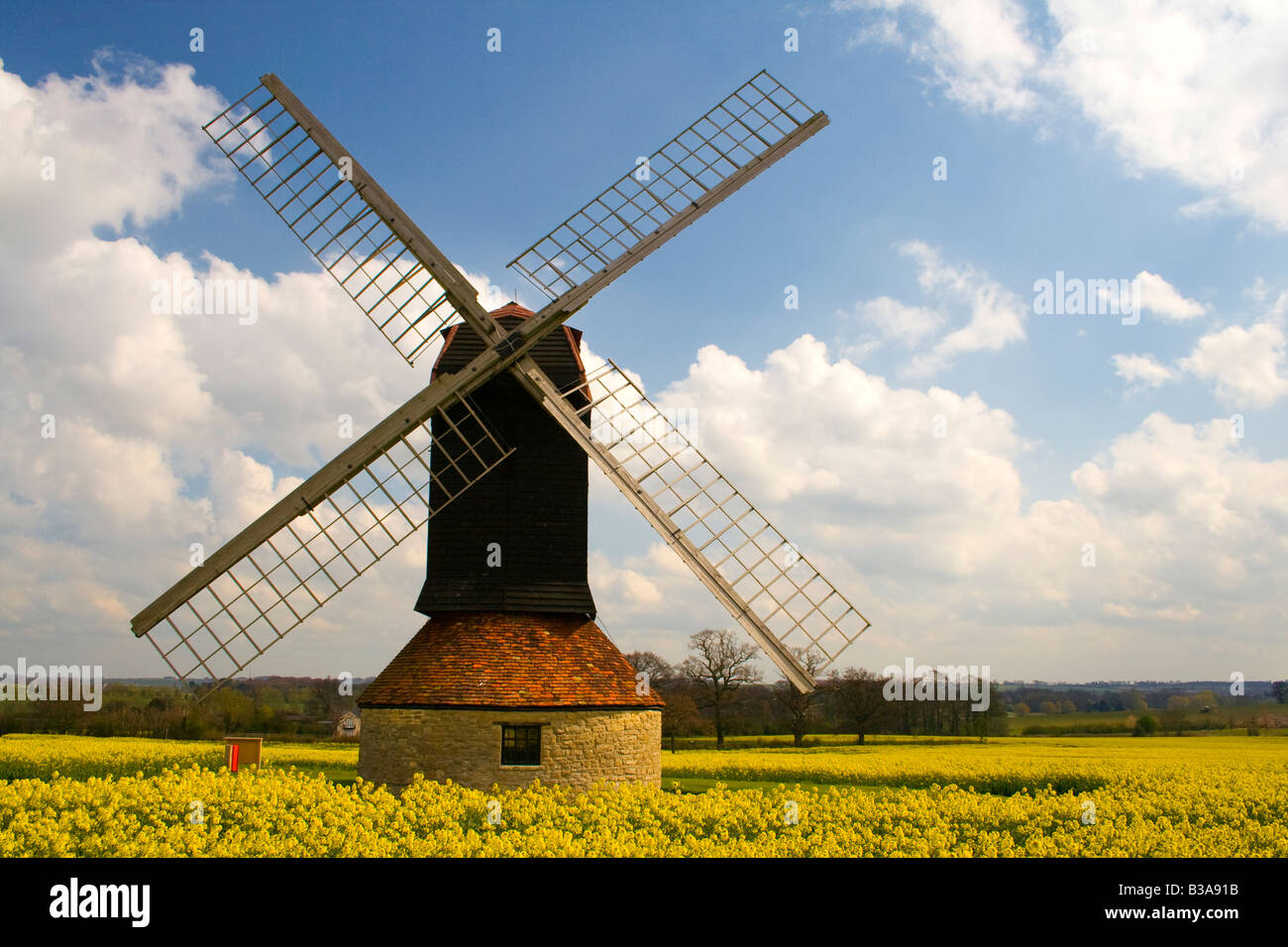 Moulin de voiles dans un champ de colza sur un jour d'été ensoleillé Banque D'Images