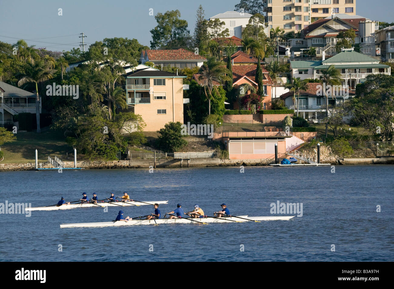 L'Australie, Queensland, Brisbane, New Farm, les rameurs sur la rivière Brisbane Banque D'Images