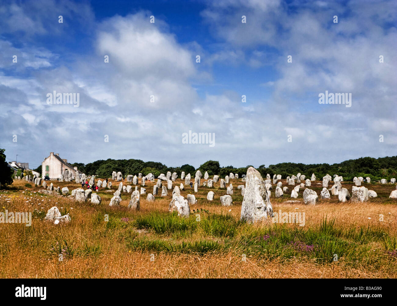 Alignements du Menec Menhirs de Carnac Morbihan Bretagne France Europe Banque D'Images