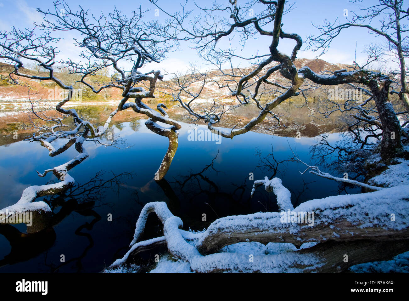 Paysage d'hiver et des réflexions sur un lac dans le Nord du Pays de Galles Banque D'Images