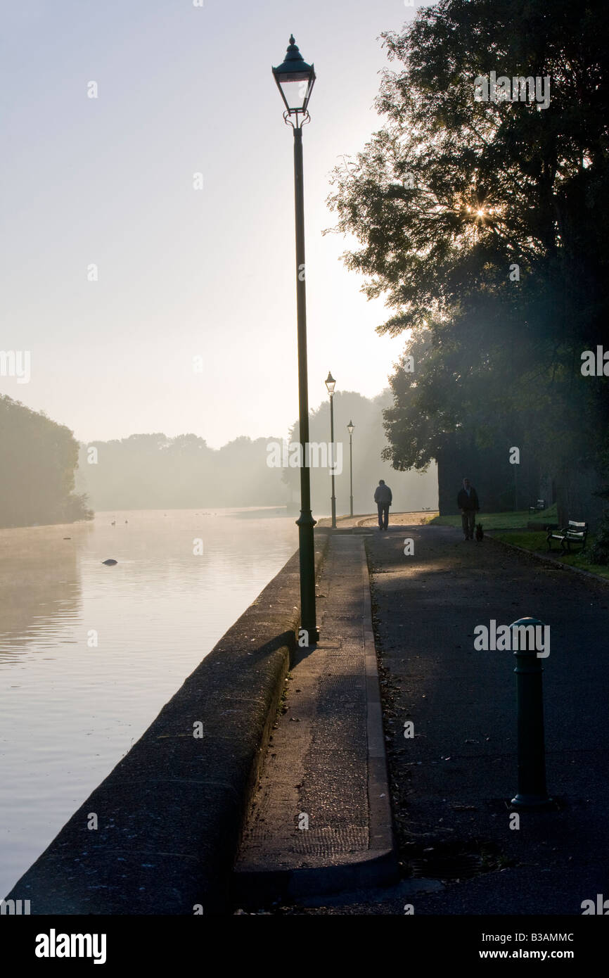 Un misty dawn atmosphériques avec des cygnes et autres oiseaux sur l'étang de Pembroke au Pays de Galles, Royaume-Uni Banque D'Images