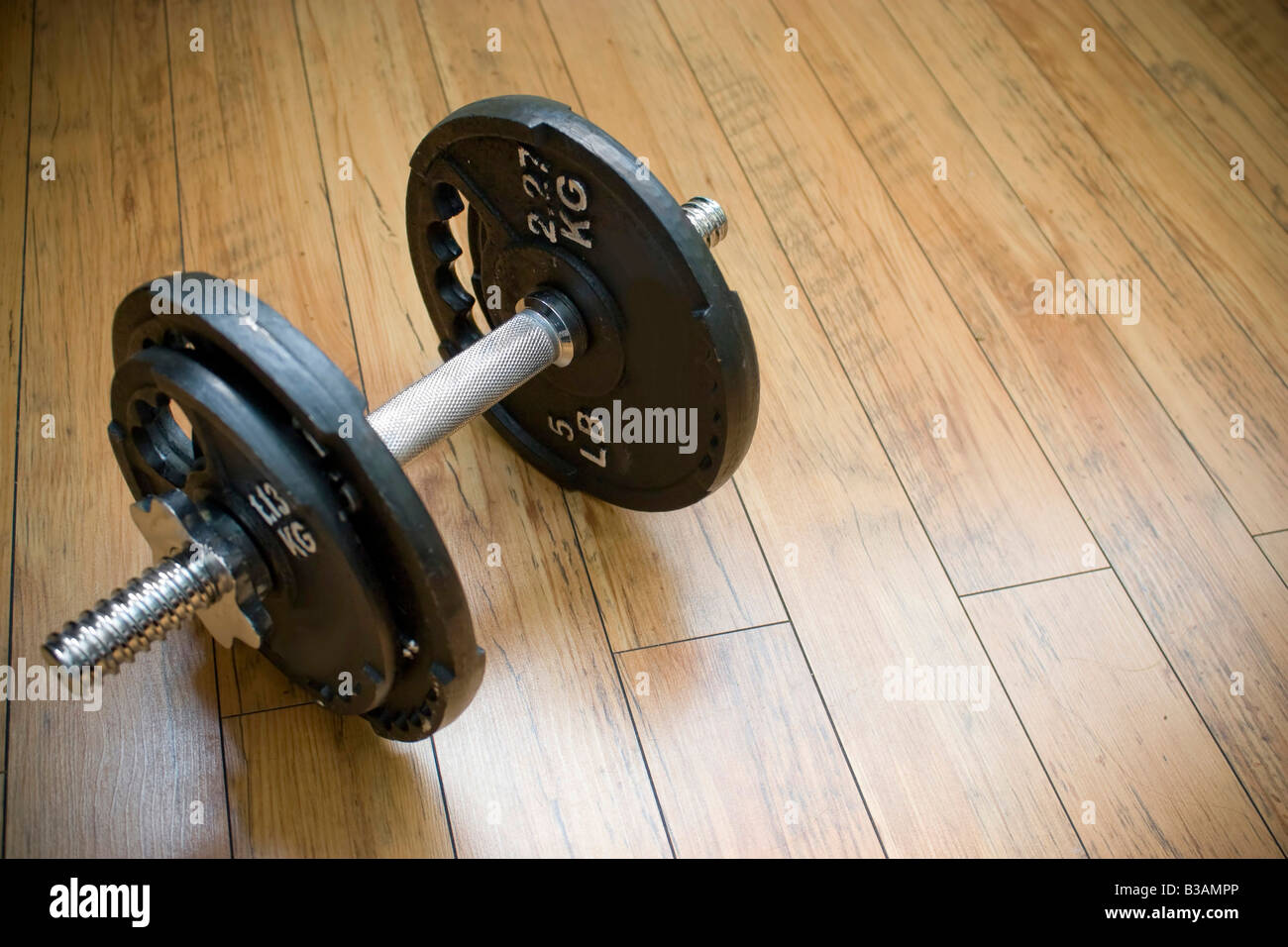 Une haltère poids assis sur un plancher de bois l'accessoire parfait pour toute salle de gym à domicile Banque D'Images