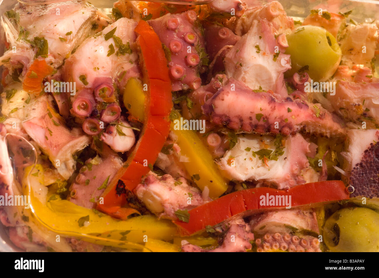 'A la Provençale' les pieuvres (Octopus macropus). Poulpes (Macropus) poulpe à la Provençale. Banque D'Images