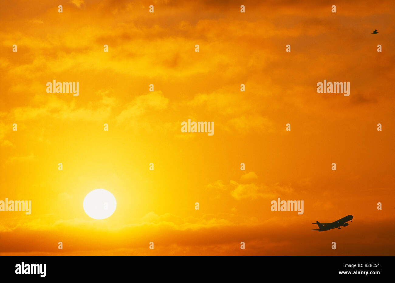Un avion qui décolle à l'avant de la lever du soleil avec un oiseau à l'avion, Heathrow, Londres, UK Banque D'Images