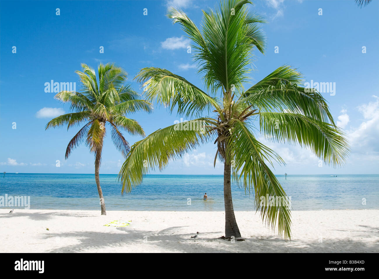 Un cadre tranquille et désert plage de sable blanc en Floride USA Banque D'Images