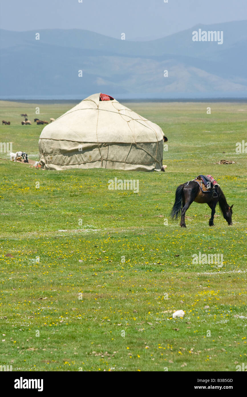 Les yourtes et les chevaux sur le lac Song Kul au Kirghizstan Banque D'Images Les yourtes et les chevaux sur le lac Song Kul au Kirghizstan Banque D'Images