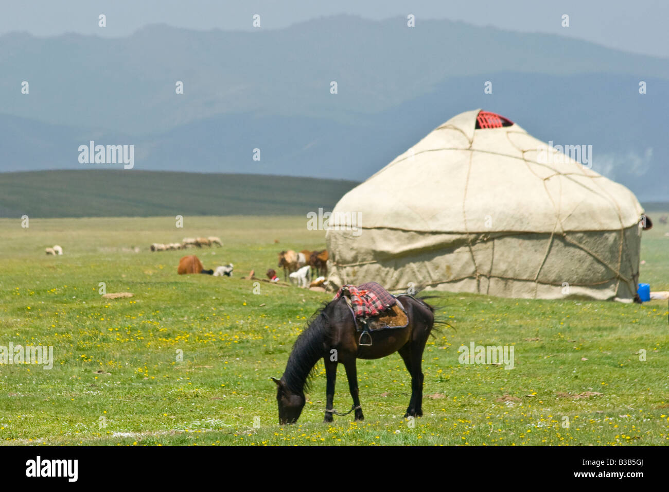 Les yourtes et les chevaux sur le lac Song Kul au Kirghizstan Banque D'Images Les yourtes et les chevaux sur le lac Song Kul au Kirghizstan Banque D'Images