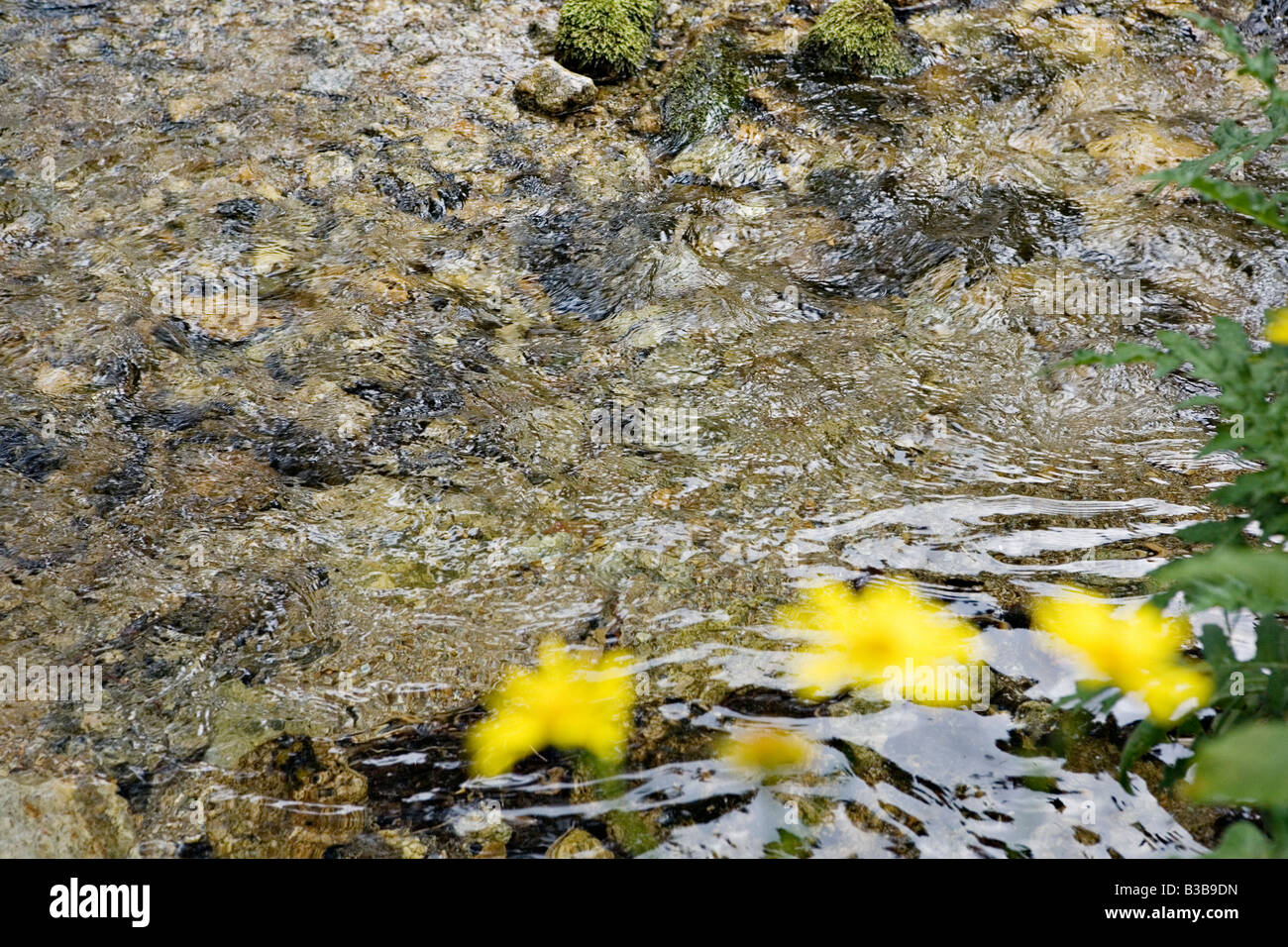 Gazeiski la rivière en Patrimoine Mondial de l'UNESCO Parc national de Pirin Bulgarie Banque D'Images