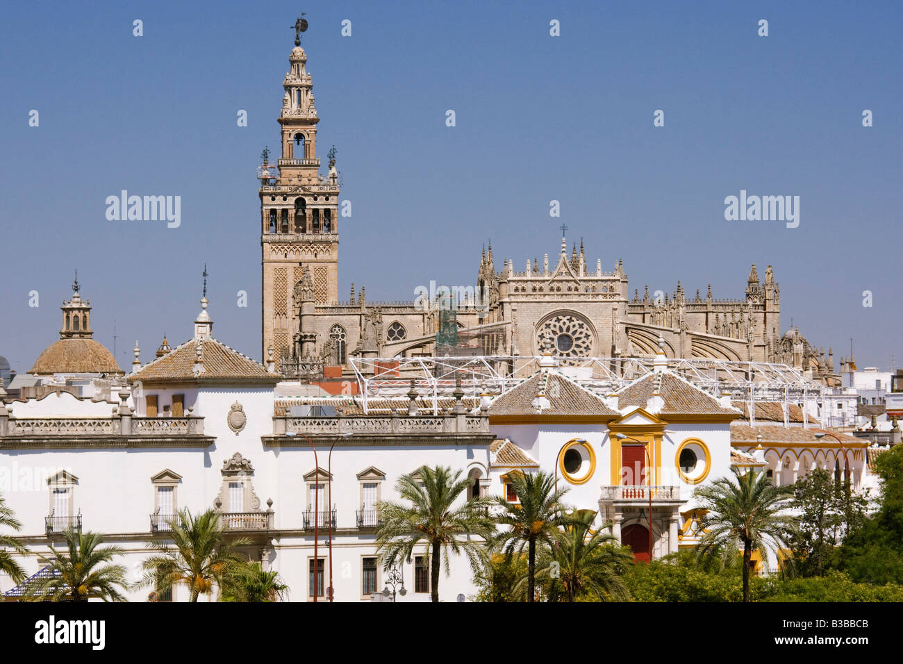 La Cathédrale de Séville et Plaza de Toros de la Maestranza, Séville, Andalousie, Espagne Banque D'Images