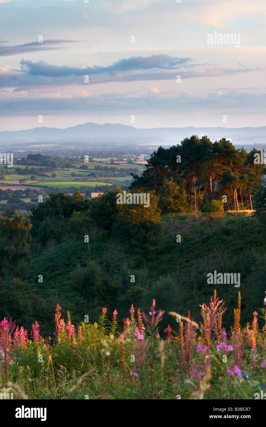 Vue vers les collines de Malvern Hills Clément, Worcestershire, Angleterre, RU Banque D'Images