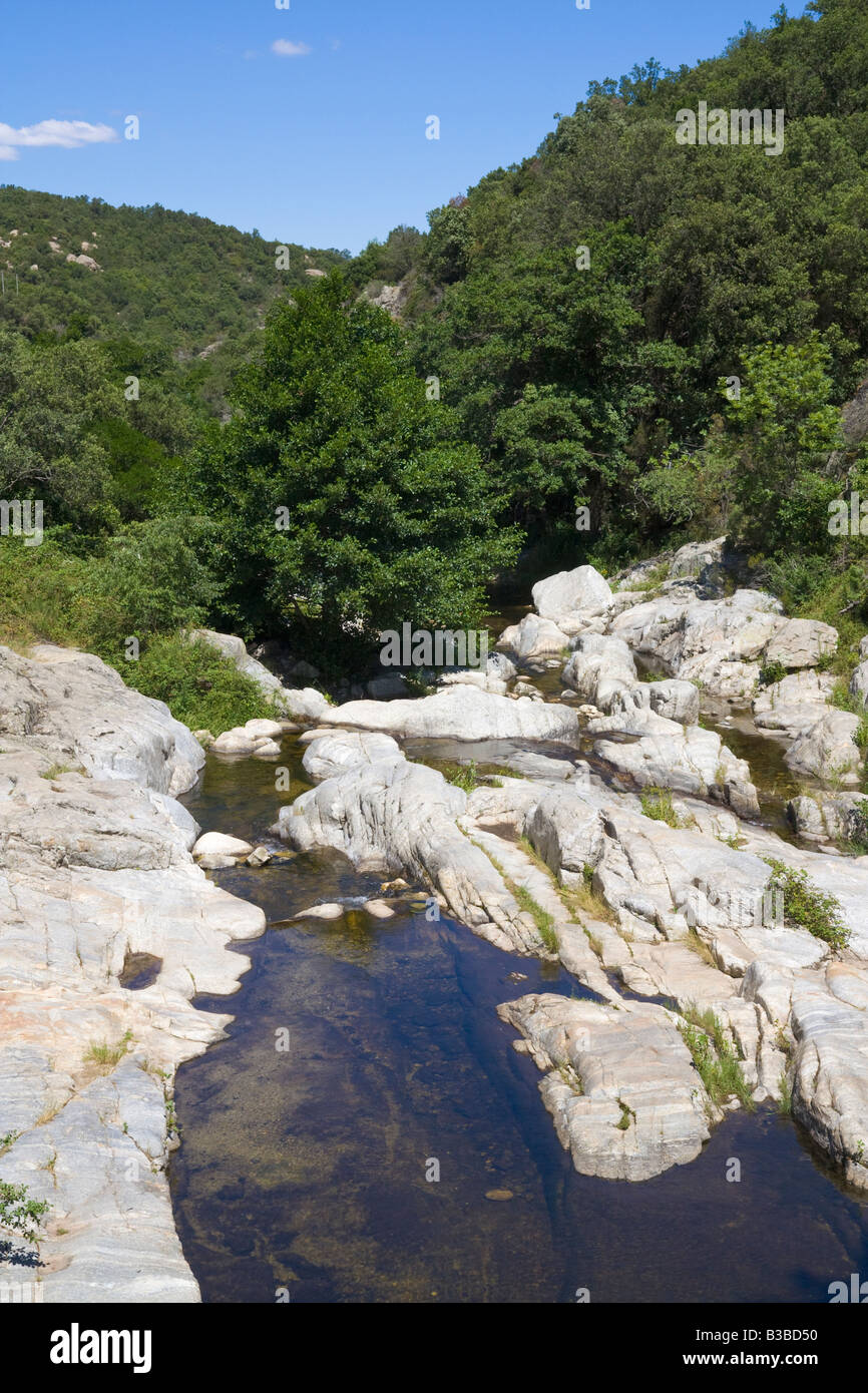 Le ruisseau s'écoule à travers la Massane Gorges de Lavall Banque D'Images