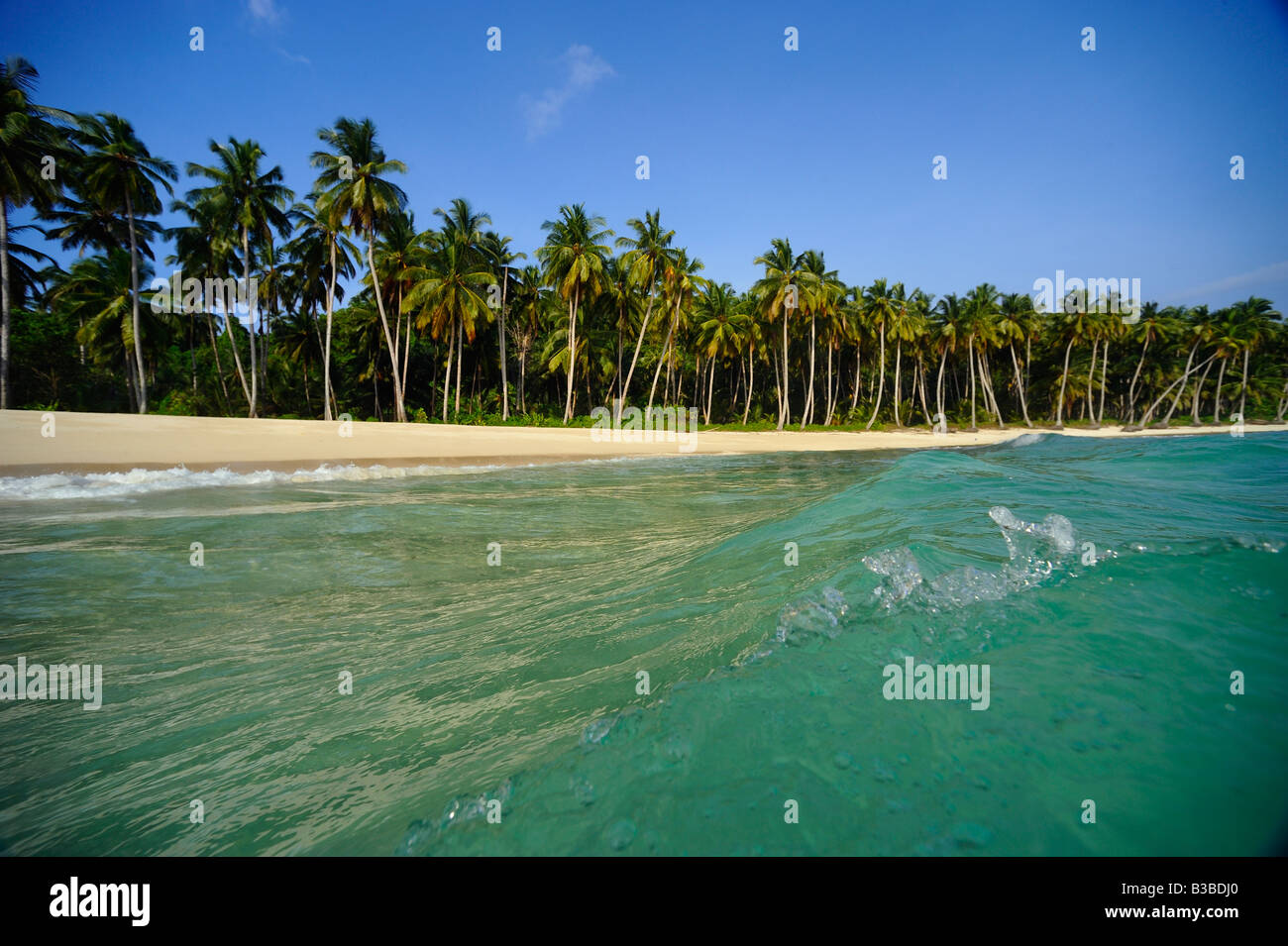 Plage tropicale dans les Mentawai îles au large de Sumatra en Indonésie Banque D'Images Plage tropicale dans les Mentawai îles au large de Sumatra en Indonésie Banque D'Images