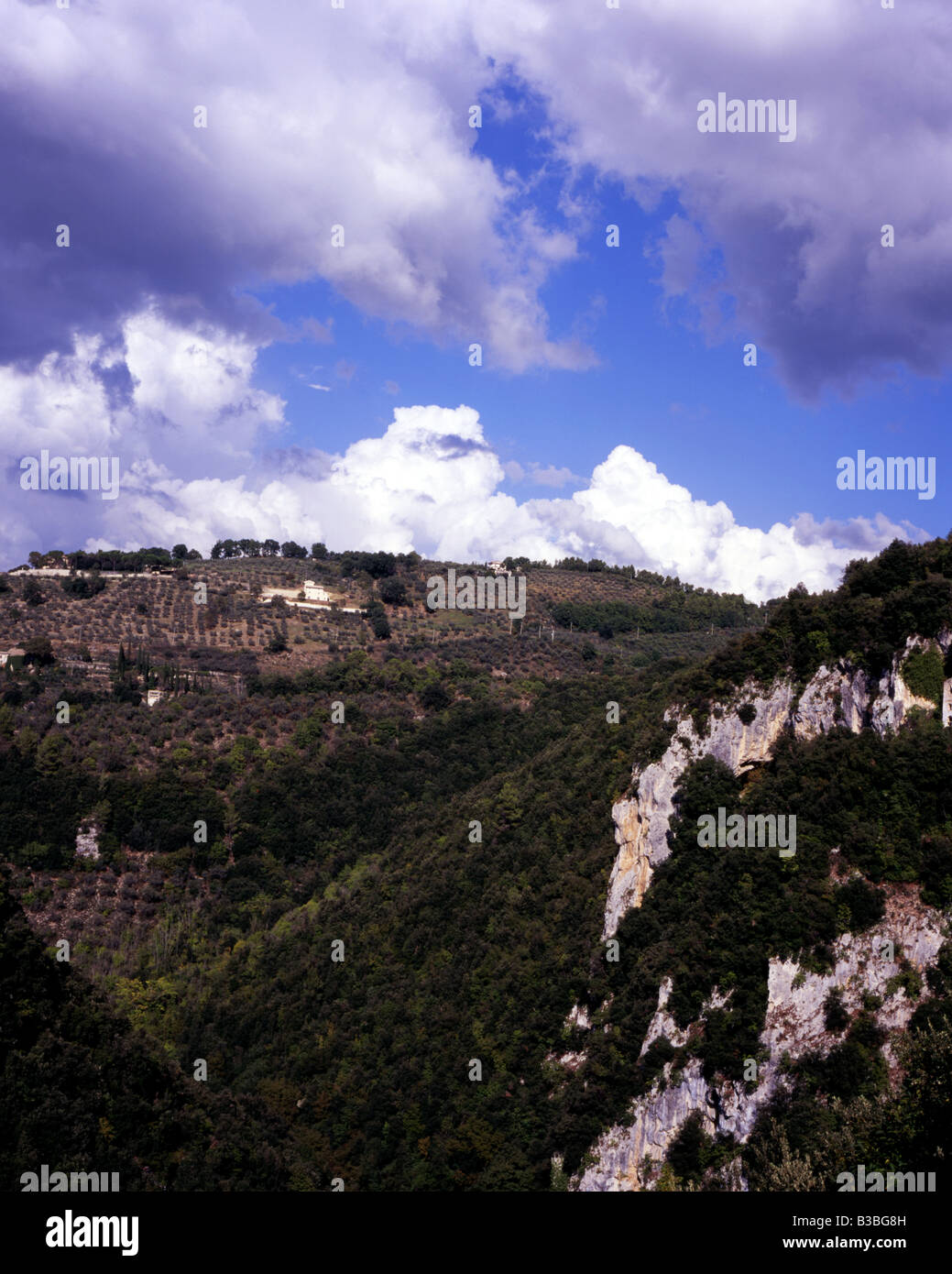 Pentes boisées gorge, affleurement de calcaire, d'oliviers, Olea europaea et ferme, Spoleto, Ombrie, Italie Banque D'Images