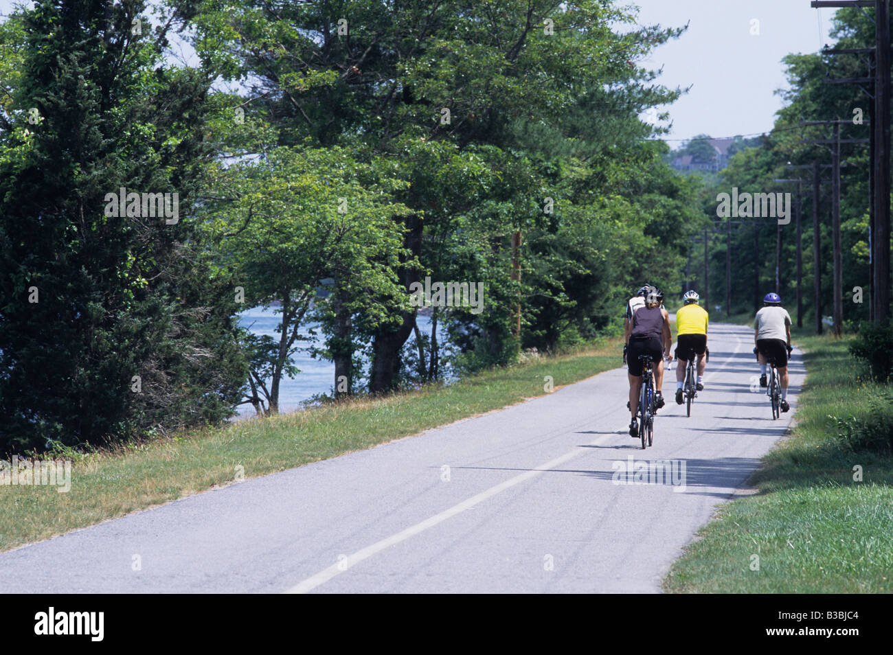 Quatre personnes la bicyclette sur la piste cyclable le long de la Cape Cod Canal dans l'été aux Etats-Unis. Banque D'Images