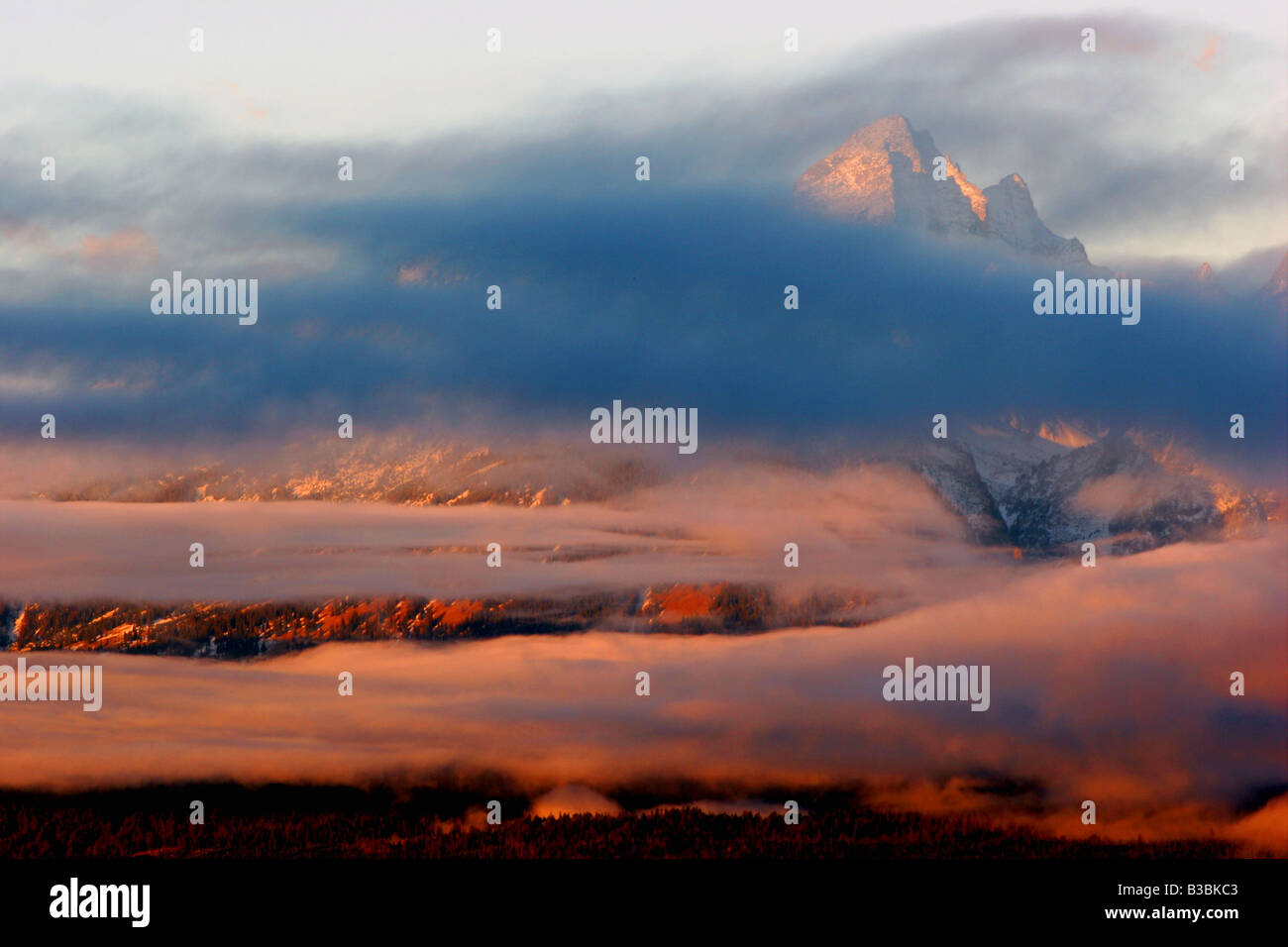 Matin brouillard, parc national de Grand Teton, Wyoming Banque D'Images