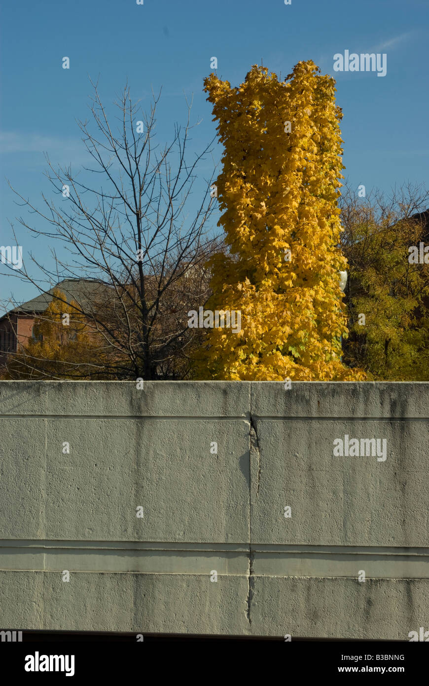 Couleurs d'automne sont visibles au-delà d'un mur de séparation en béton Banque D'Images