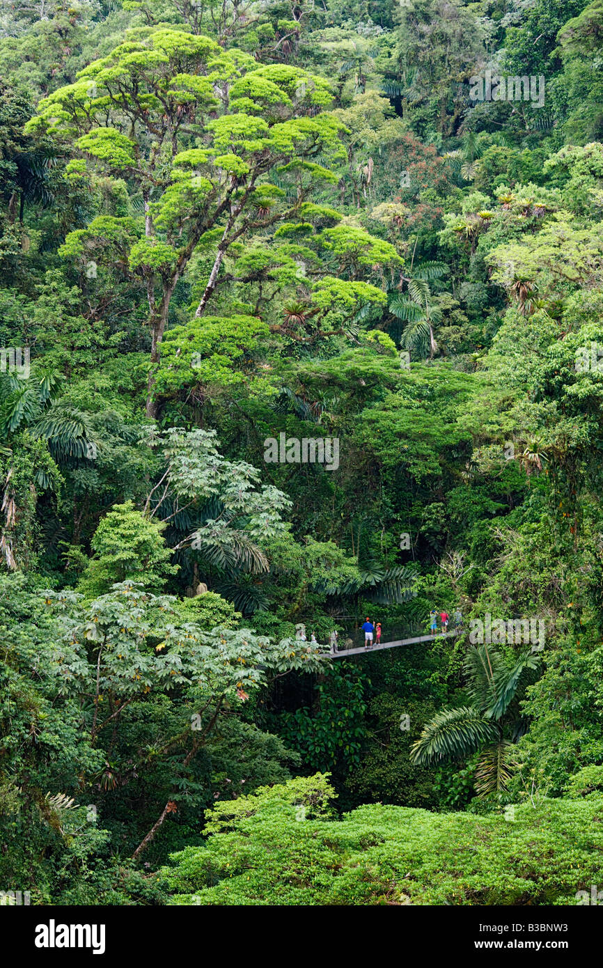 Les touristes sur pont suspendu dans la forêt tropicale, le Costa Rica Banque D'Images