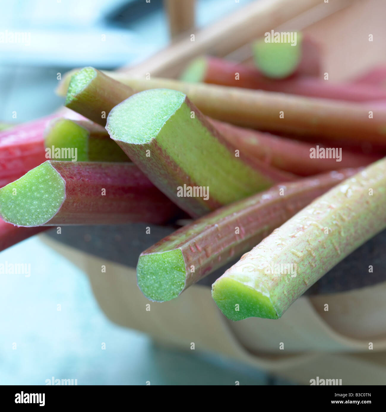 Close up de bâtons de rhubarbe Banque D'Images