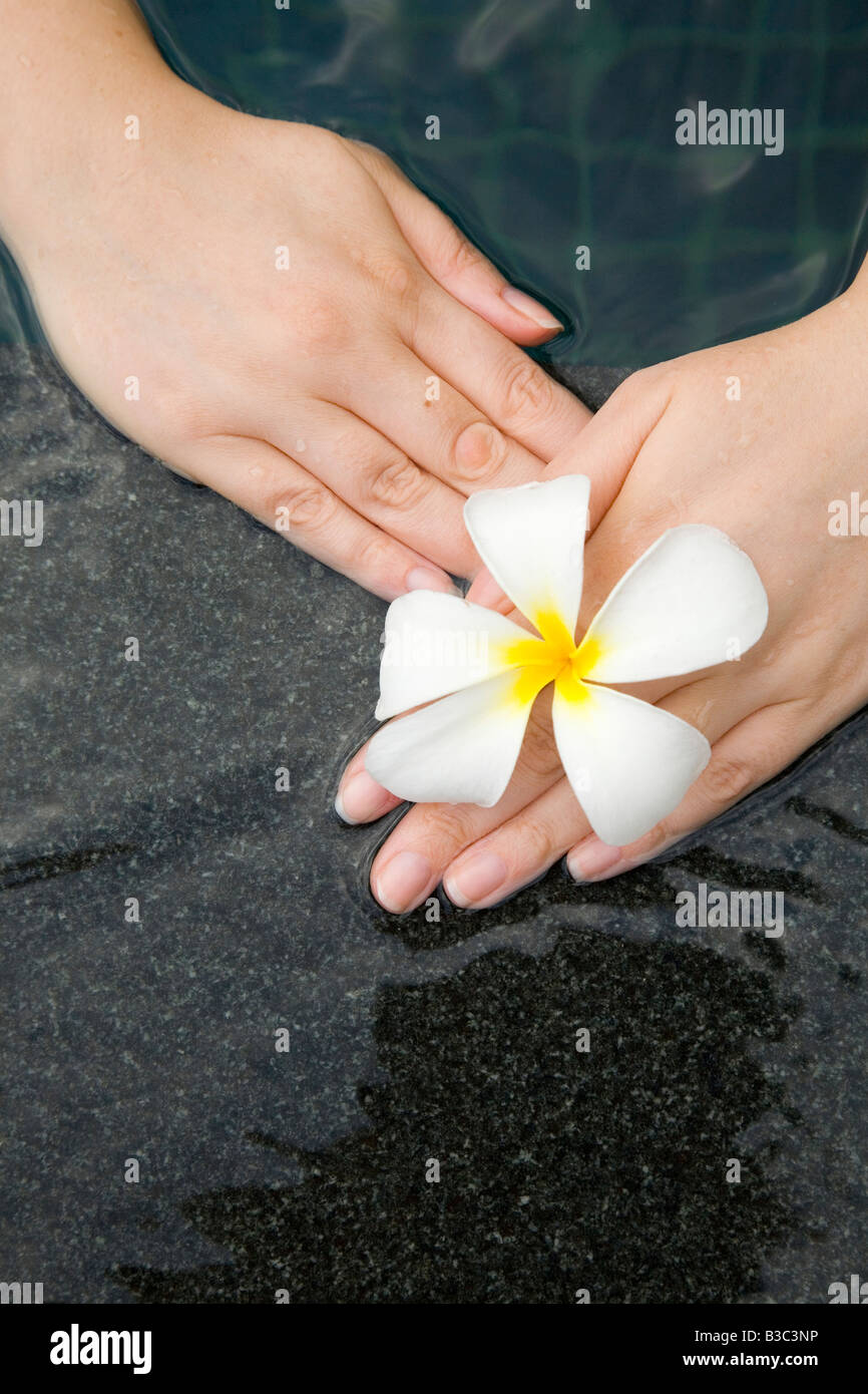 Fleur exotique unique tenu en main de femme Banque D'Images