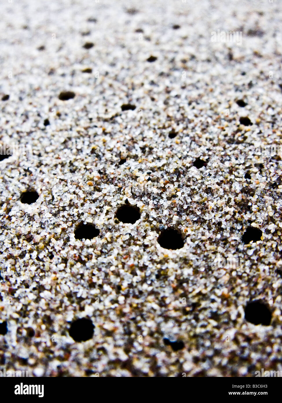 Petits trous dans le sable de plage Photo Stock - Alamy