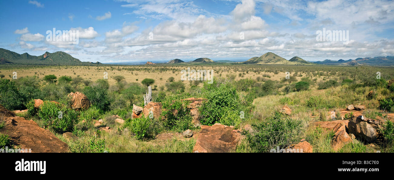 Au Kenya, le parc national de Tsavo Ouest. Paysage typique dans le parc national de Tsavo Ouest. Les cônes indiquent l'activité volcanique qui a donné Banque D'Images