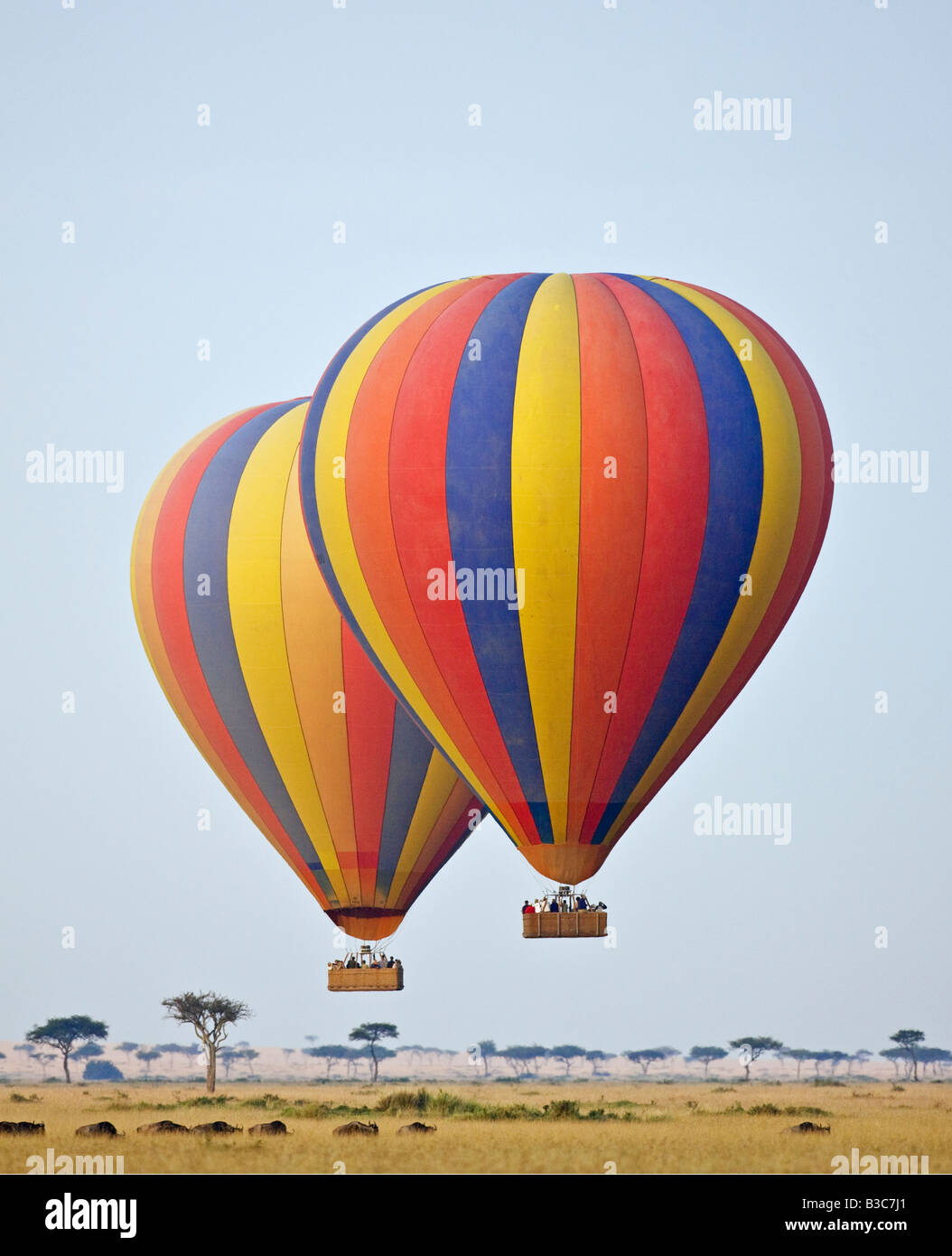 Masai Mara, Kenya, Masai Mara. Deux montgolfières flottent sur les plaines dans les masais Mara alors que les troupeaux de gnous paissent ci-dessous. Banque D'Images