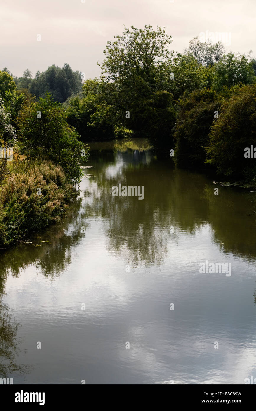 La rivière Stort dans Harlow Town Park, Essex, Royaume-Uni. Aussi connu sous le nom de navigation Stort Banque D'Images